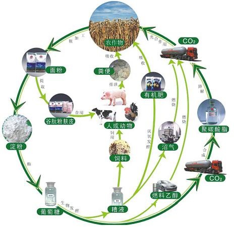 生物質發(fā)電